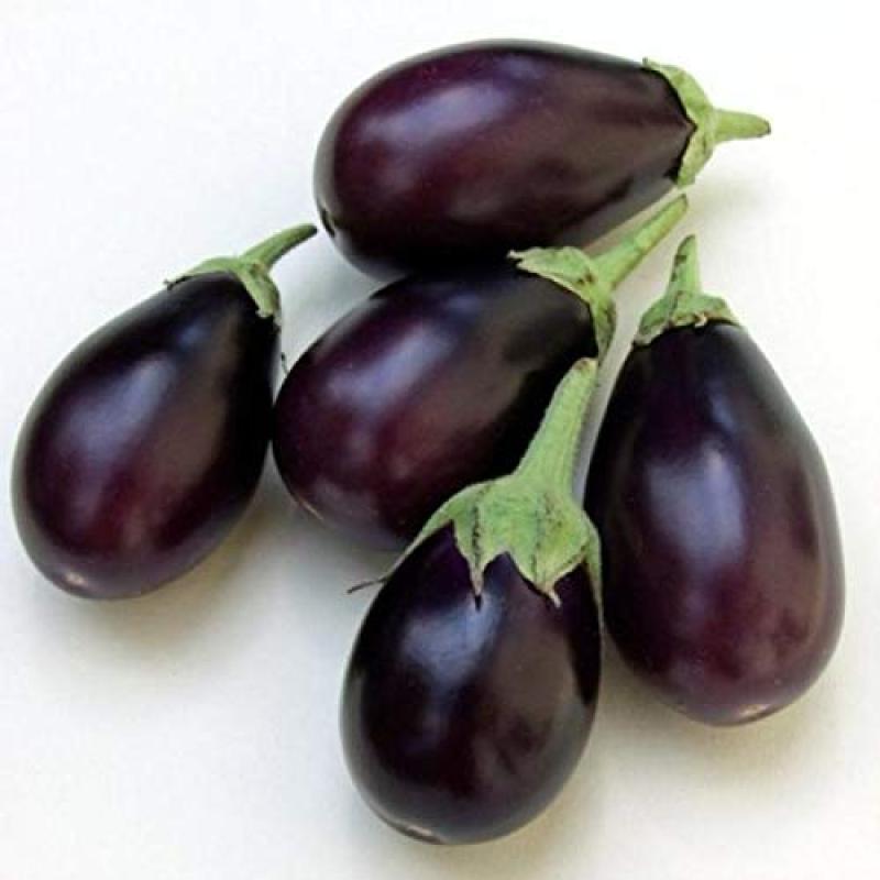 BRINJAL ROUND