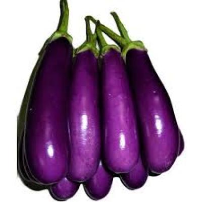 BRINJAL PURPLE LONG