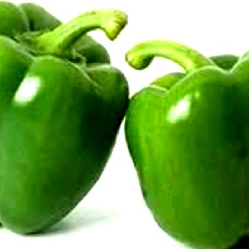 CAPSICUM GREEN