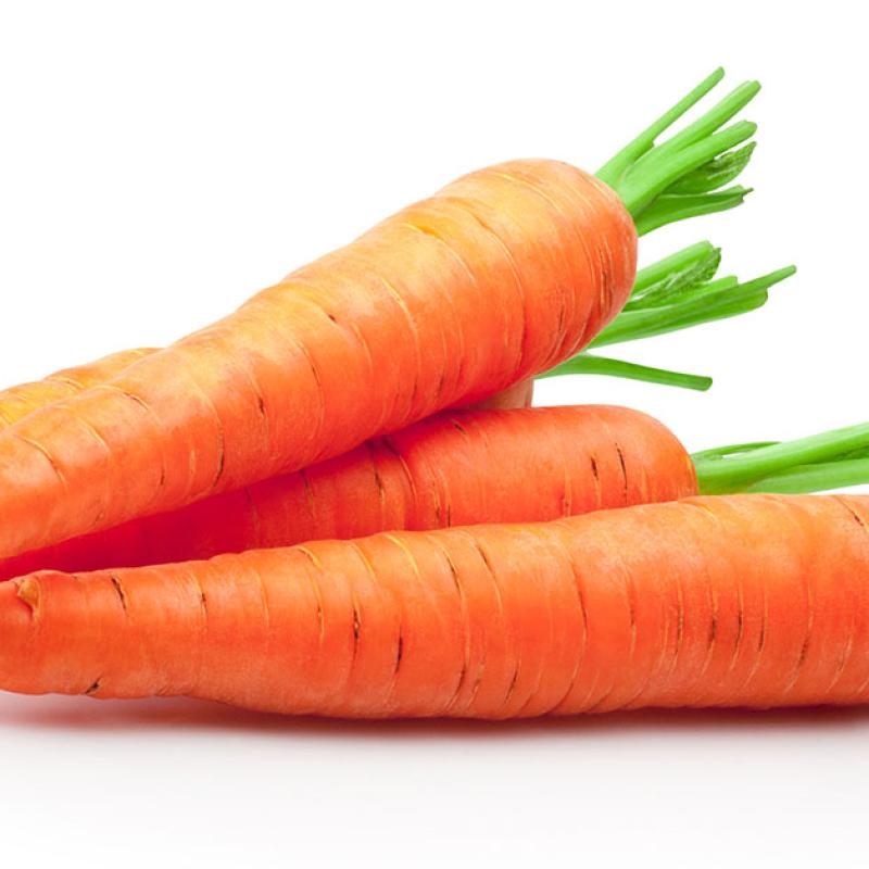 CARROT