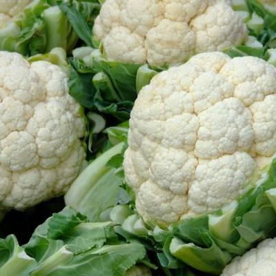 CAULIFLOWER