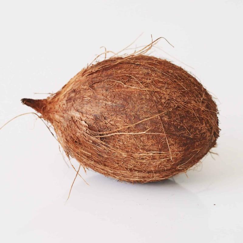 COCONUT