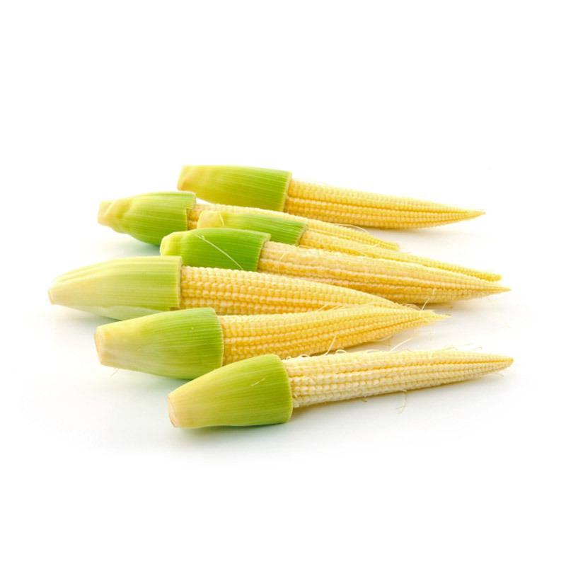 BABY CORN