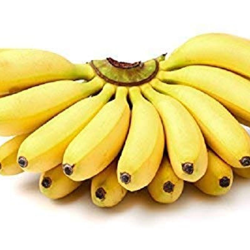 BANANA RUBUSTA