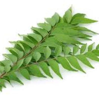 CURRY LEAVES