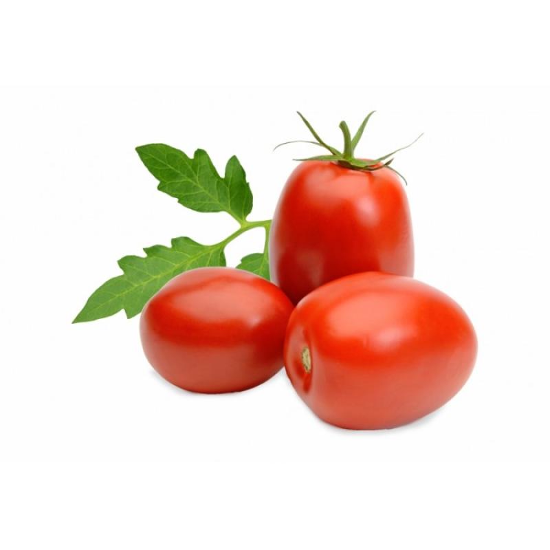 TOMATO BANGALORE